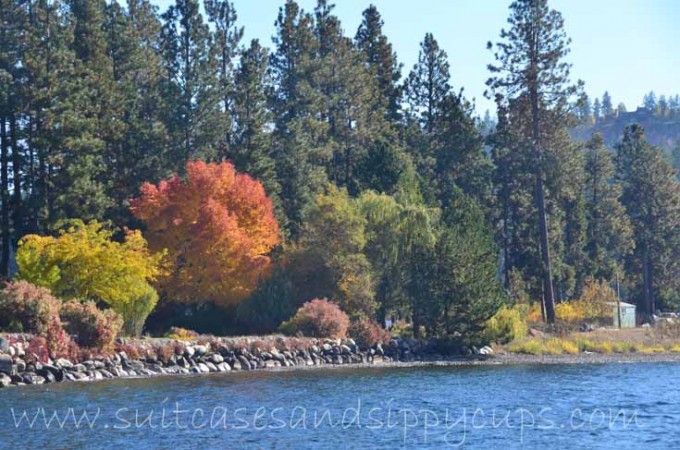 beautiful scenery on lake coeur d'alene